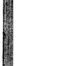 Image Tile