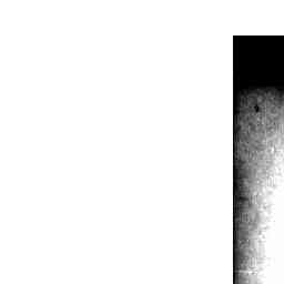 Image Tile