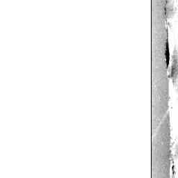 Image Tile