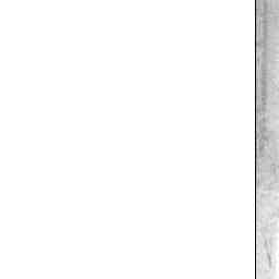 Image Tile