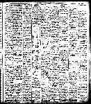 Page overview thumbnail