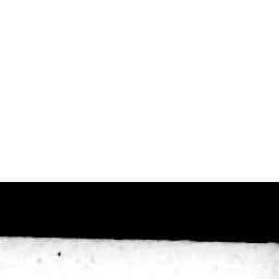Image Tile