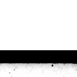 Image Tile