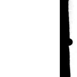 Image Tile