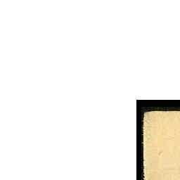 Image Tile