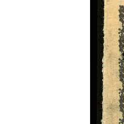 Image Tile