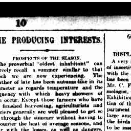 31 Jan 1899 - Advertising - Trove