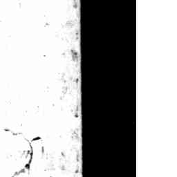 Image Tile