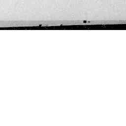 Image Tile