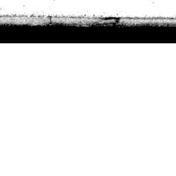 Image Tile