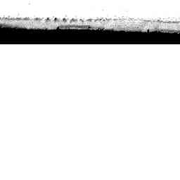 Image Tile