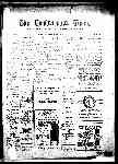 Page overview thumbnail