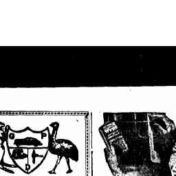 Image Tile