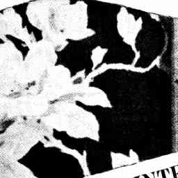 Image Tile
