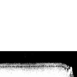 Image Tile