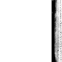 Image Tile