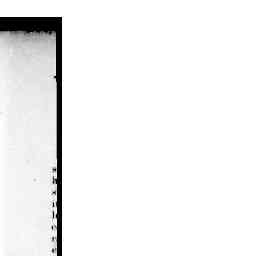 Image Tile