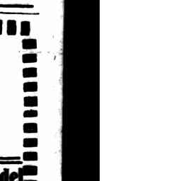 Image Tile