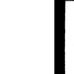 Image Tile