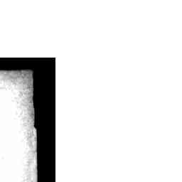 Image Tile