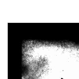 Image Tile