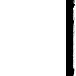 Image Tile