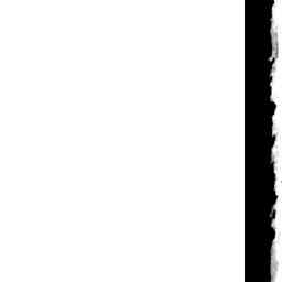Image Tile