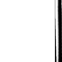 Image Tile