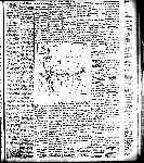 Page overview thumbnail