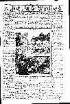 Page overview thumbnail