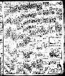 Page overview thumbnail