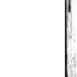 Image Tile