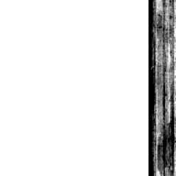 Image Tile