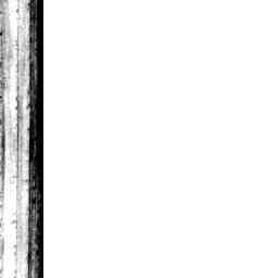 Image Tile