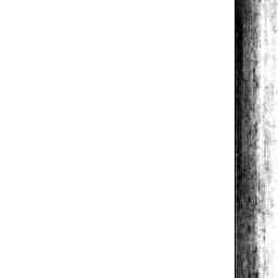 Image Tile