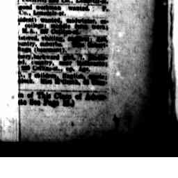 Image Tile