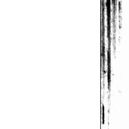 Image Tile