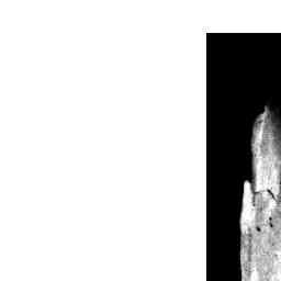07 Oct 1911 Advertising Trove