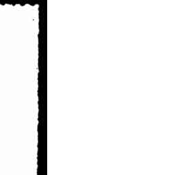 Image Tile