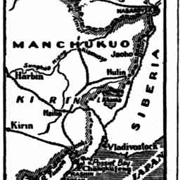 Image Tile