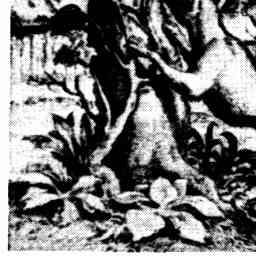 Image Tile