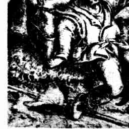 Image Tile