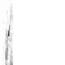 Image Tile