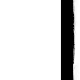 Image Tile