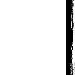 Image Tile