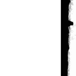 Image Tile