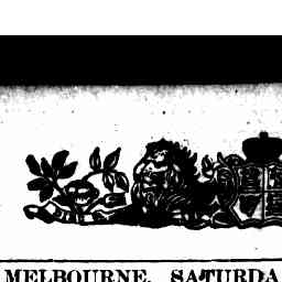 Image Tile