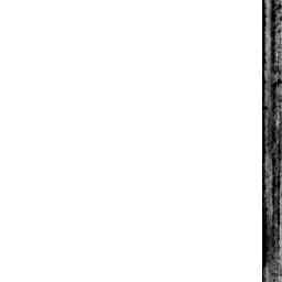 Image Tile