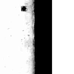 Image Tile