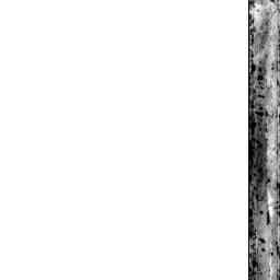 Image Tile